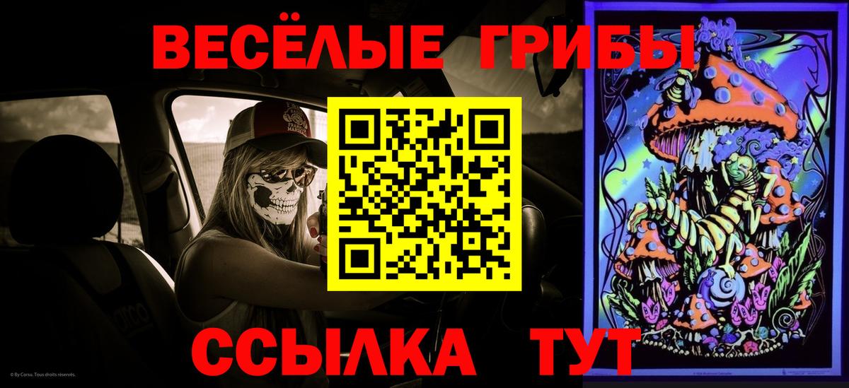 Псилоцибиновые грибы Cubensis  Псилоцибиновые грибы Cubensis  Вход с VPN  Гусь-Хрустальный 