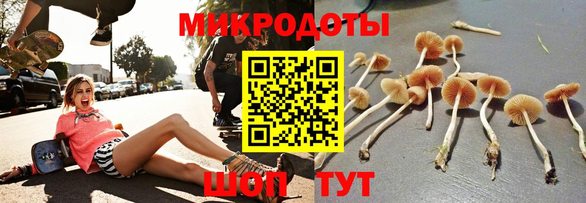 Галлюциногенные грибы Cubensis Гусь-Хрустальный
